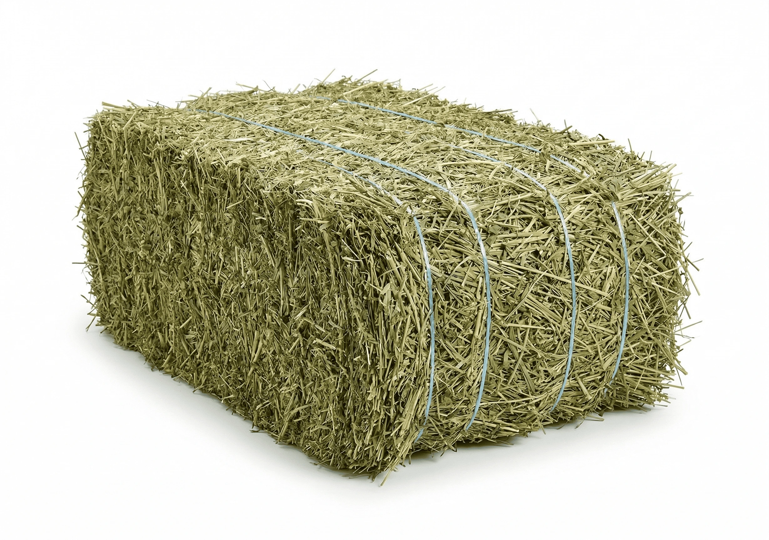 alfalfa bales argentina