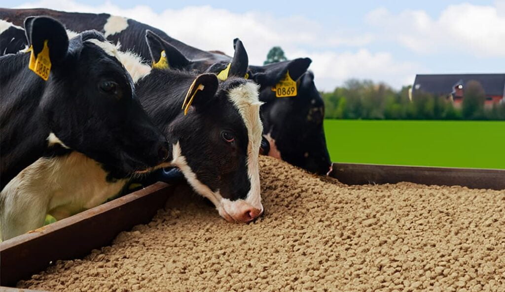 Benefits of Soybean Expeller