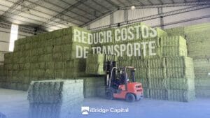 Cómo reducir costos de transporte en exportación de alfalfa