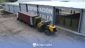Exportación de alfalfa desde Argentina, infraestructura y logística