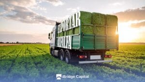 ¿Cómo exportar alfalfa desde Argentina sin intermediarios?