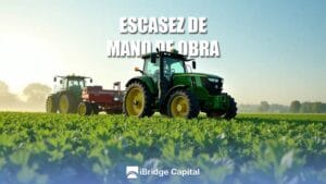 Escasez de mano de obra en alfalfa: alternativas efectivas