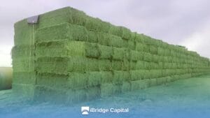 Secado industrial de alfalfa: la clave para la calidad y el rendimiento Industrial Alfalfa Drying: The Key to Quality and Yield