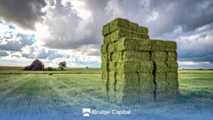 Clima inestable de Córdoba y su impacto en el heno premium The unstable climate of Córdoba in premium hay production