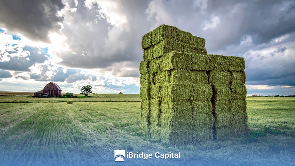 Clima inestable de Córdoba y su impacto en el heno premium The unstable climate of Córdoba in premium hay production