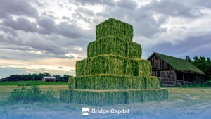 Pérdida Oculta: Reducción del Rendimiento y Calidad de la Alfalfa por Rotura de Hojas Hidden Loss: Reduction in Alfalfa Yield and Quality Due to Leaf Shattering