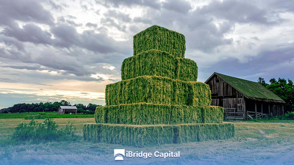 Pérdida Oculta: Reducción del Rendimiento y Calidad de la Alfalfa por Rotura de Hojas Hidden Loss: Reduction in Alfalfa Yield and Quality Due to Leaf Shattering