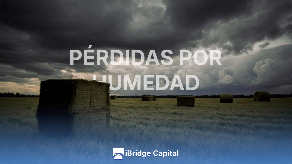 Pérdidas por humedad heno: umbrales críticos, protocolo de secado y prevención