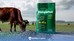 Alfalfa Pellets for Ruminants vs Monogastrics: Differences, Benefits, and Best Feeding Uses