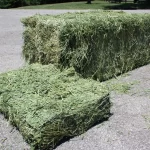 Premium Alfalfa Small Bales: Consistent Quality