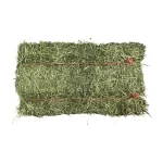 Premium Alfalfa Small Bales