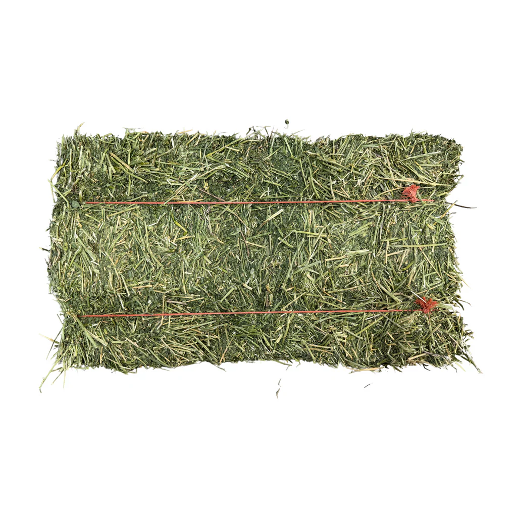 Premium Alfalfa Small Bales